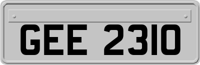 GEE2310