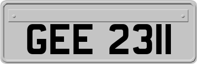 GEE2311