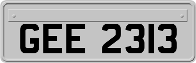 GEE2313