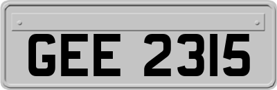 GEE2315