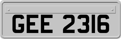 GEE2316