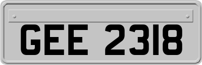 GEE2318