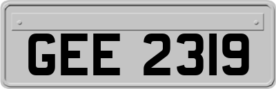 GEE2319