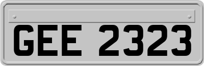 GEE2323