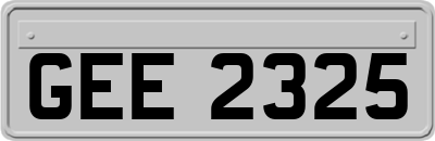GEE2325