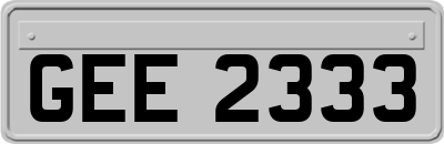 GEE2333