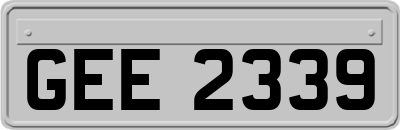 GEE2339