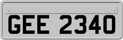 GEE2340