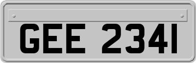 GEE2341