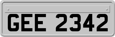 GEE2342