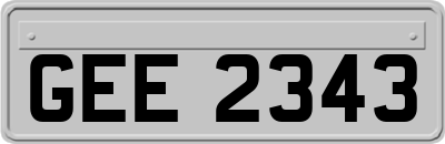 GEE2343