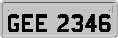 GEE2346