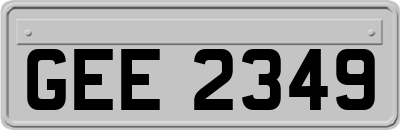 GEE2349