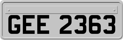 GEE2363