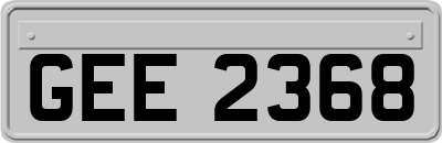 GEE2368