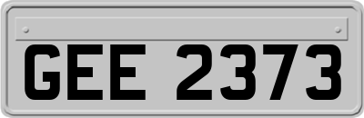 GEE2373