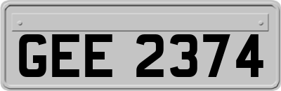 GEE2374