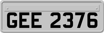 GEE2376