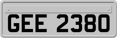 GEE2380