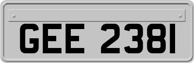 GEE2381