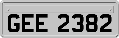 GEE2382