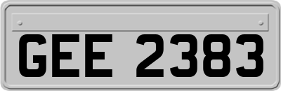 GEE2383