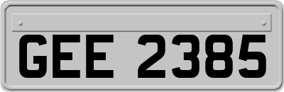 GEE2385