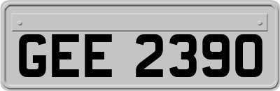 GEE2390