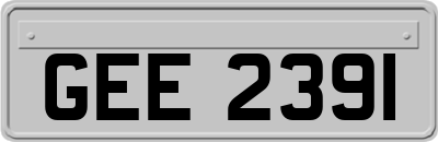 GEE2391