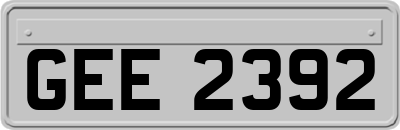 GEE2392