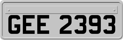 GEE2393