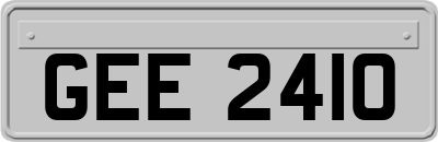 GEE2410