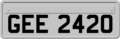 GEE2420
