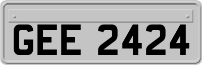 GEE2424