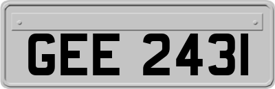 GEE2431