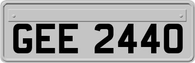 GEE2440