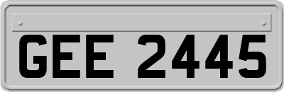 GEE2445