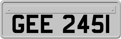 GEE2451