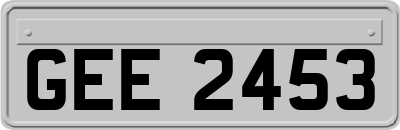 GEE2453