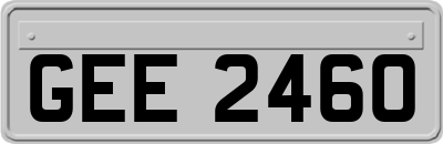 GEE2460