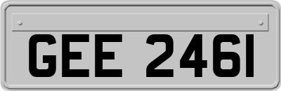 GEE2461