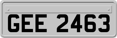 GEE2463