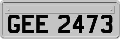 GEE2473