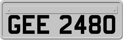 GEE2480
