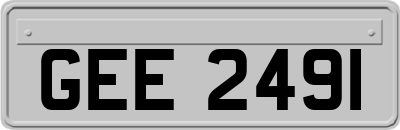 GEE2491