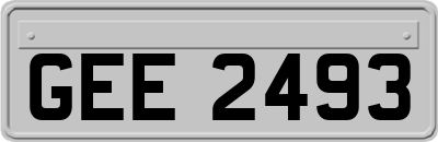 GEE2493