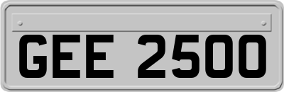 GEE2500
