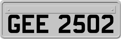 GEE2502