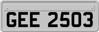 GEE2503