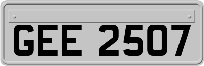 GEE2507